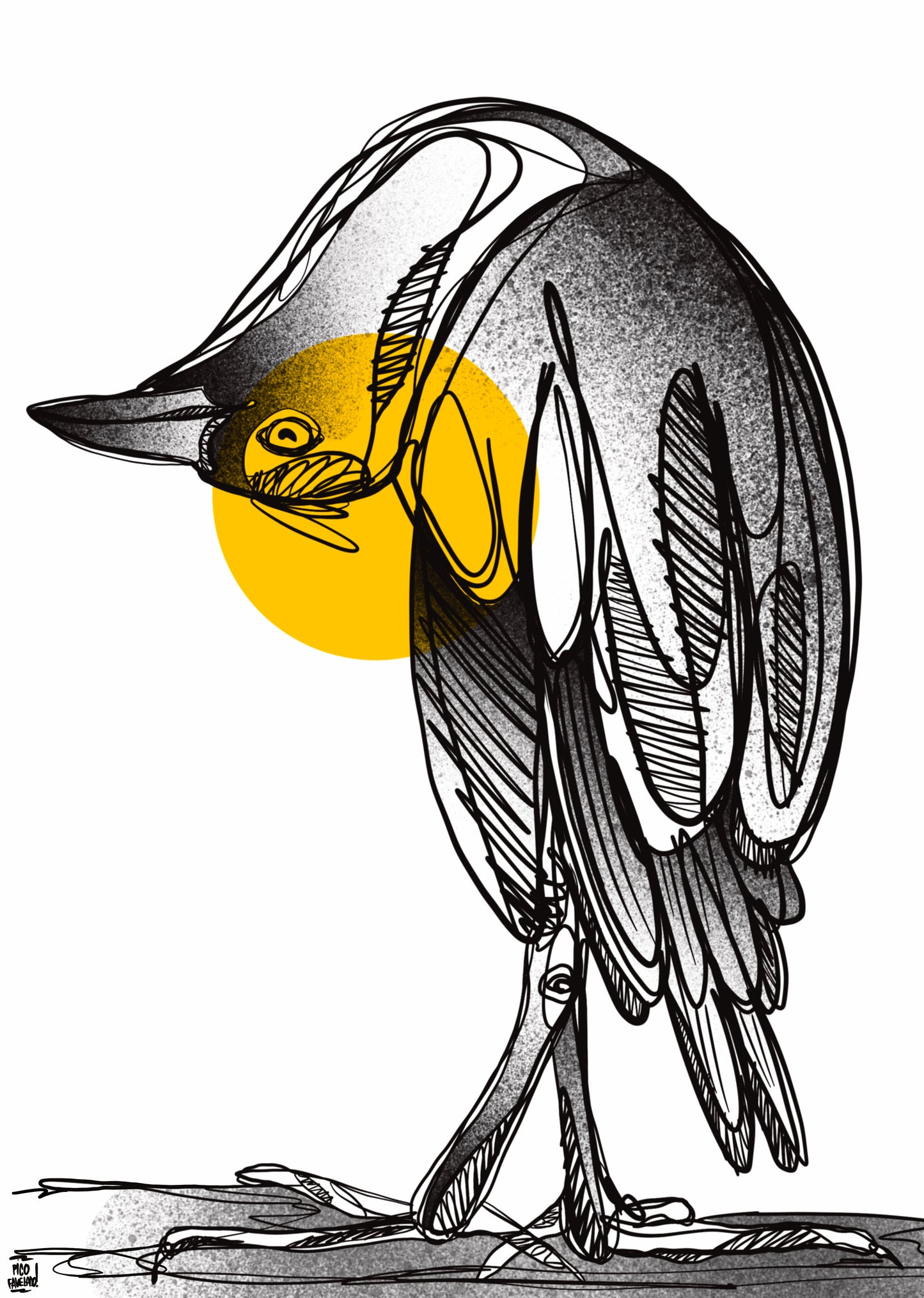 Bird movement